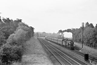 BR(S) D1 class 31727 near St Mary Cray Junction, Greater London with the 3.05pm Hop Pickers Special London bridge - Ashford on Saturday 08 Sep 1956 - C. Hogg [048365]