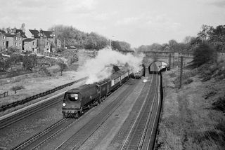 BR(S) Merchant Navy class 35029 'Ellerman Lines' at Clapham Cutting, Greater London with the down "Bournemouth Belle" on Sunday 20 Oct 1957 - C. Hogg [048407]