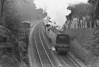Bluebell Railway Museum