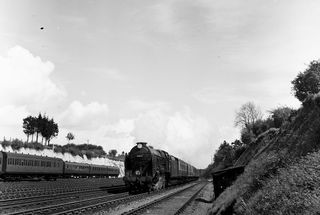 Bluebell Railway Museum