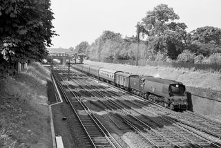 Bluebell Railway Museum