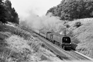 Bluebell Railway Museum