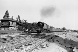Bluebell Railway Museum
