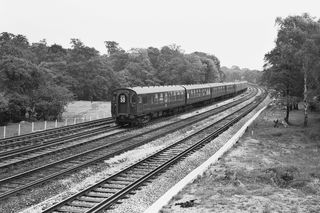 Bluebell Railway Museum