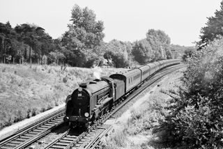 Bluebell Railway Museum