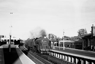 Bluebell Railway Museum