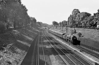 BR(S) Merchant Navy class 35027 'Port Line' at Clapham Cutting, Greater London with the up "The Royal Wessex" on Saturday 15 Aug 1959 - C. Hogg [048616]