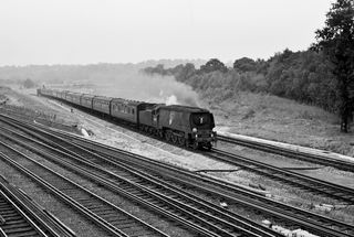 Bluebell Railway Museum