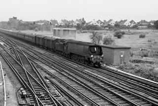 Bluebell Railway Museum