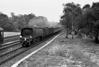 Bluebell Railway Museum