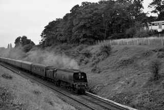 Bluebell Railway Museum
