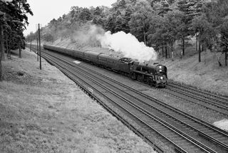Bluebell Railway Museum