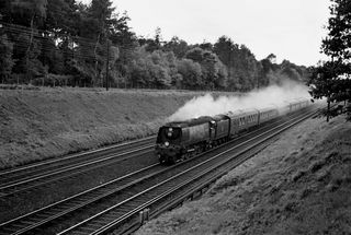 Bluebell Railway Museum