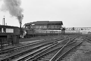 Bluebell Railway Museum