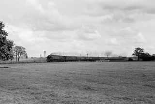 BR(S) Battle of Britain class 34067 'Tangmere' near Paddock Wood, Kent with the 1.35pm Boat Train from Folkestone on Saturday 15 Apr 1961 - C. Hogg [048692]