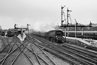 Bluebell Railway Museum