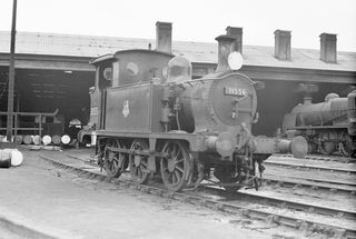 BR(S) P class 31556 at Brighton Shed, East Sussex on Saturday 23 Jun 1956 - C. Hogg [048832]