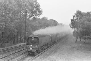 Bluebell Railway Museum
