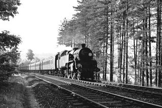 Bluebell Railway Museum