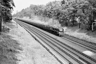 Bluebell Railway Museum