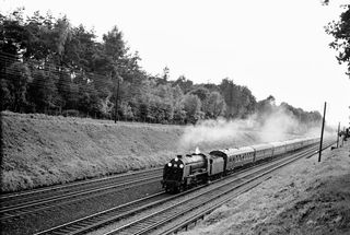 Bluebell Railway Museum