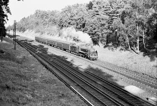 Bluebell Railway Museum