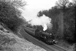Bluebell Railway Museum
