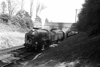 Bluebell Railway Museum