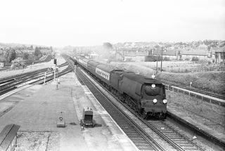 Bluebell Railway Museum