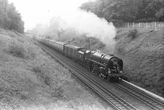 Bluebell Railway Museum