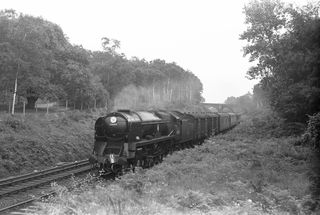 BR(S) West Country class 34005 'Barnstaple' near St Mary Cray, Greater London with the 2.30pm Dover Marine - Victoria service on Saturday 31 Aug 1957 - C. Hogg [048974]