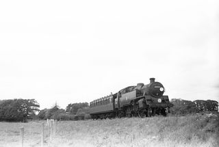 Bluebell Railway Museum