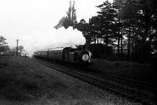 Bluebell Railway Museum