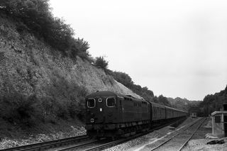Bluebell Railway Museum