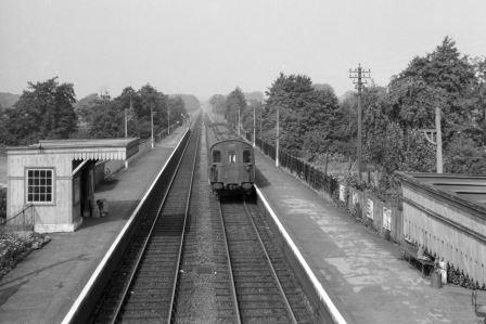 Bluebell Railway Museum