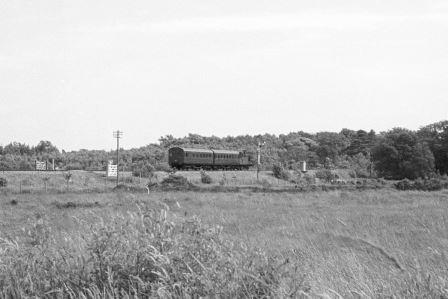 Bluebell Railway Museum