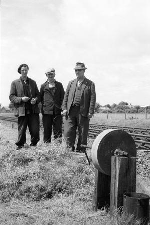 Bluebell Railway Museum