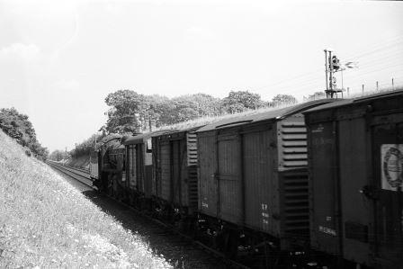 Bluebell Railway Museum