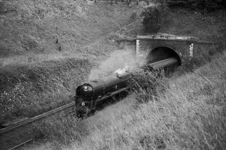 BR(S) Merchant Navy class 35001 'Channel Packet' at Exmouth Junction, Devon on Monday 31 Aug 1959 - A. Postlewaite [050268]