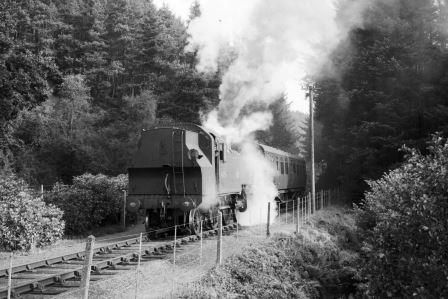 Bluebell Railway Museum