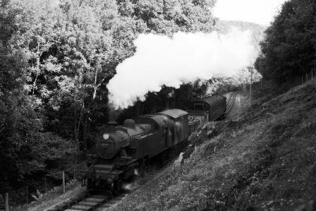 Bluebell Railway Museum