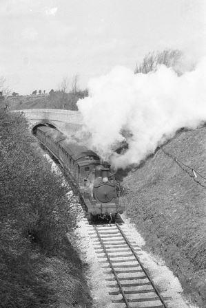Bluebell Railway Museum