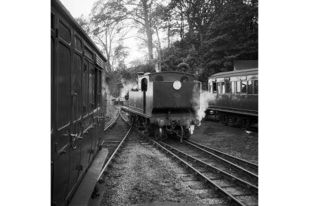 Bluebell Railway Museum
