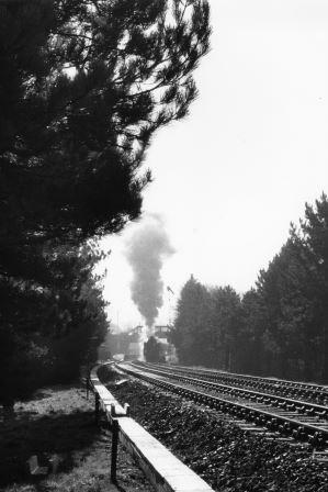 Bluebell Railway Museum