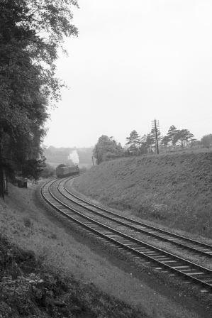 Bluebell Railway Museum