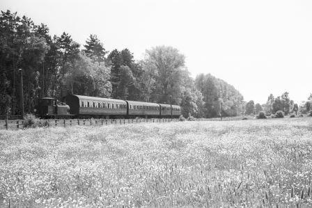 Bluebell Railway Museum