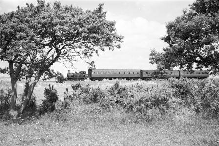 Bluebell Railway Museum