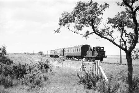 Bluebell Railway Museum