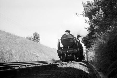BR(S) N class 31411 near Faversham, Kent on Sunday 14 Jun 1959 - A. Postlewaite [050973]