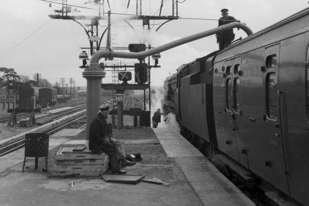 Bluebell Railway Museum